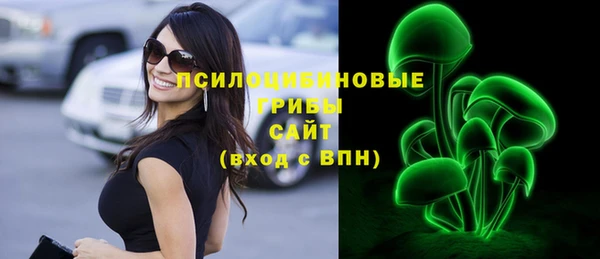не бодяженный Каменка