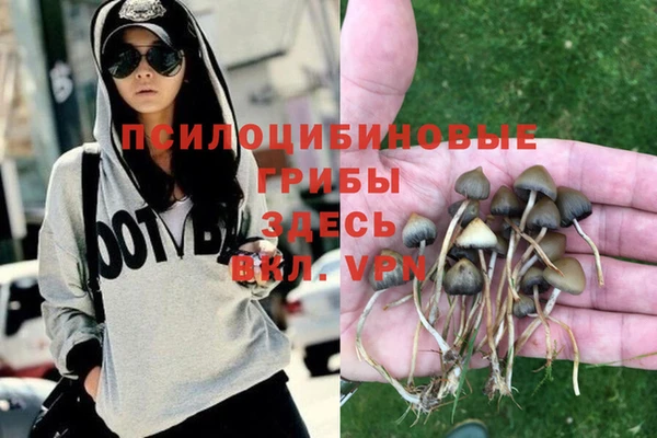 спайс Инсар