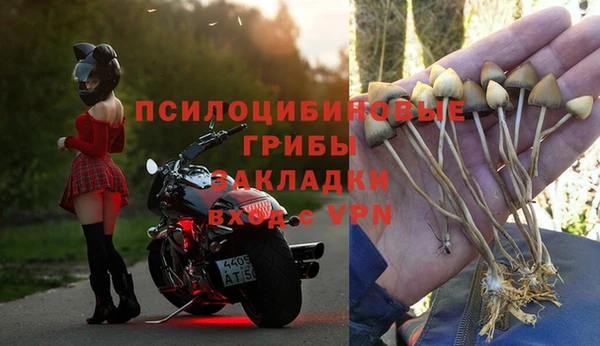 спайс Инсар